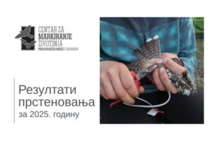 prstenovanje zivotinja, prstenovanje ptica