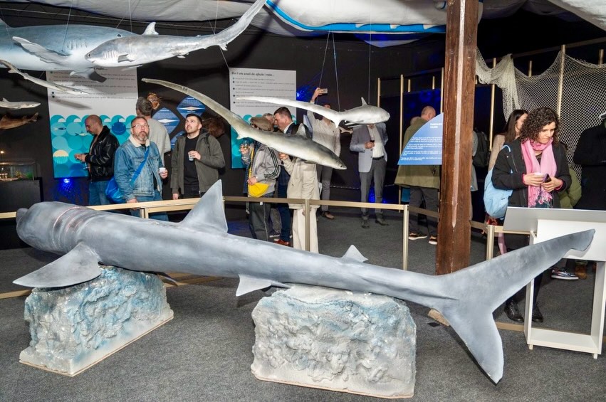 655412779_18385449994094058_4878136772648638810_n