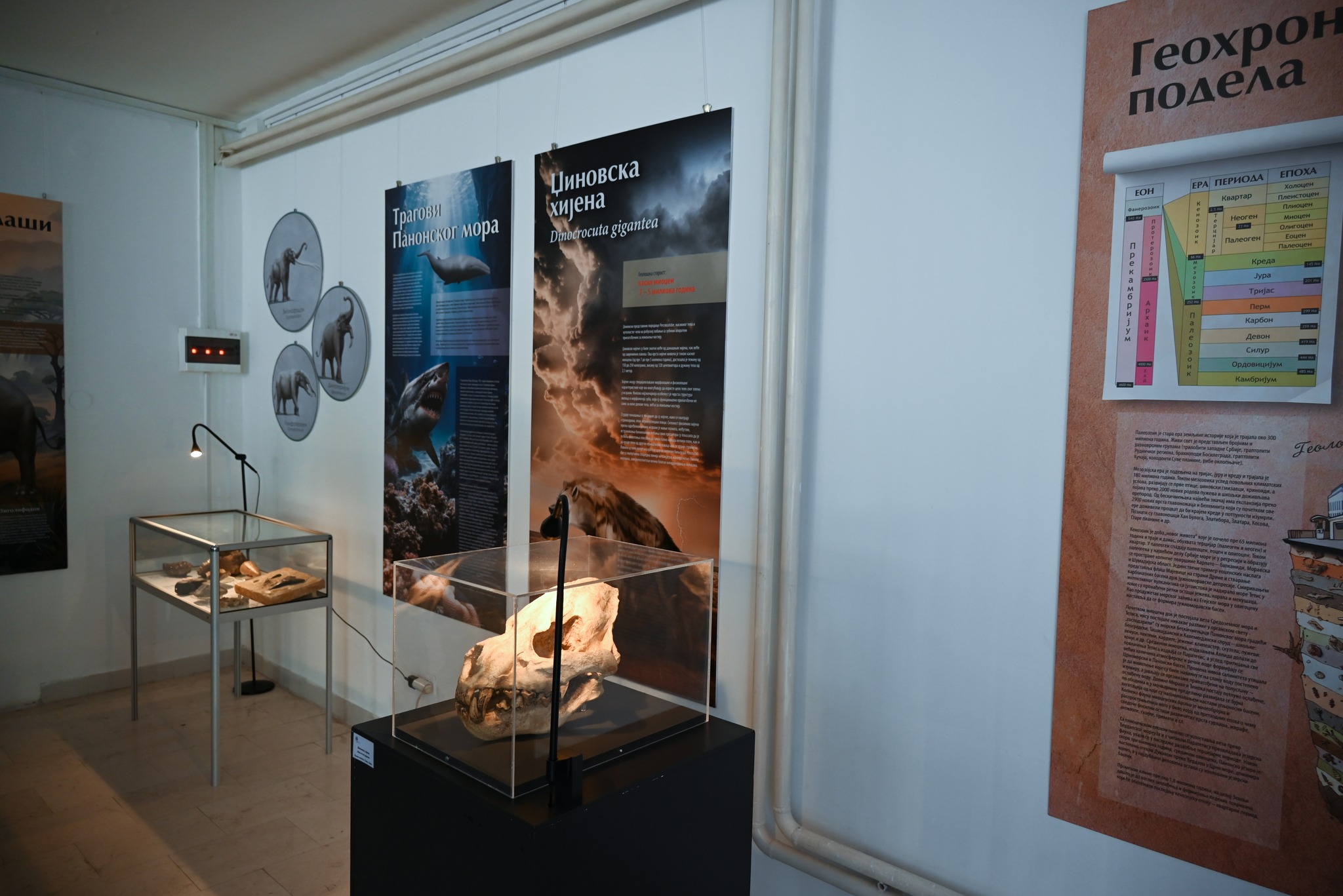 655649348_1442726727868762_5710577047019340133_n