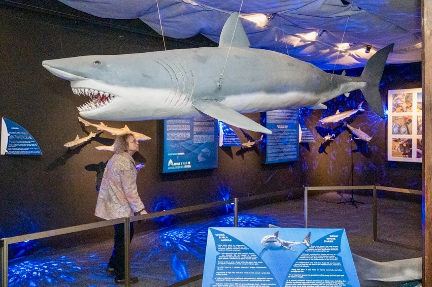 655801827_18385449973094058_7341998173728102353_n