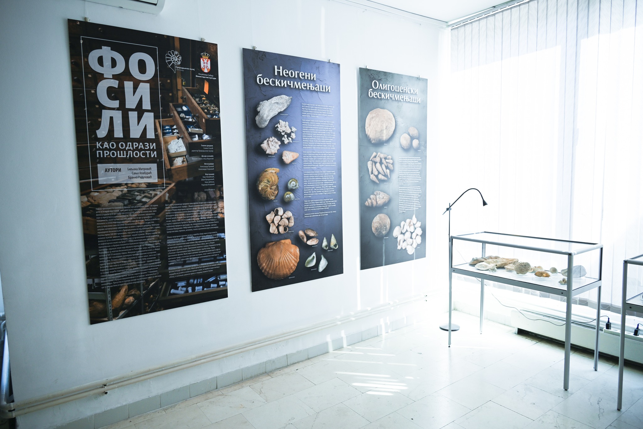 657680976_1442726771202091_7260984125915703699_n