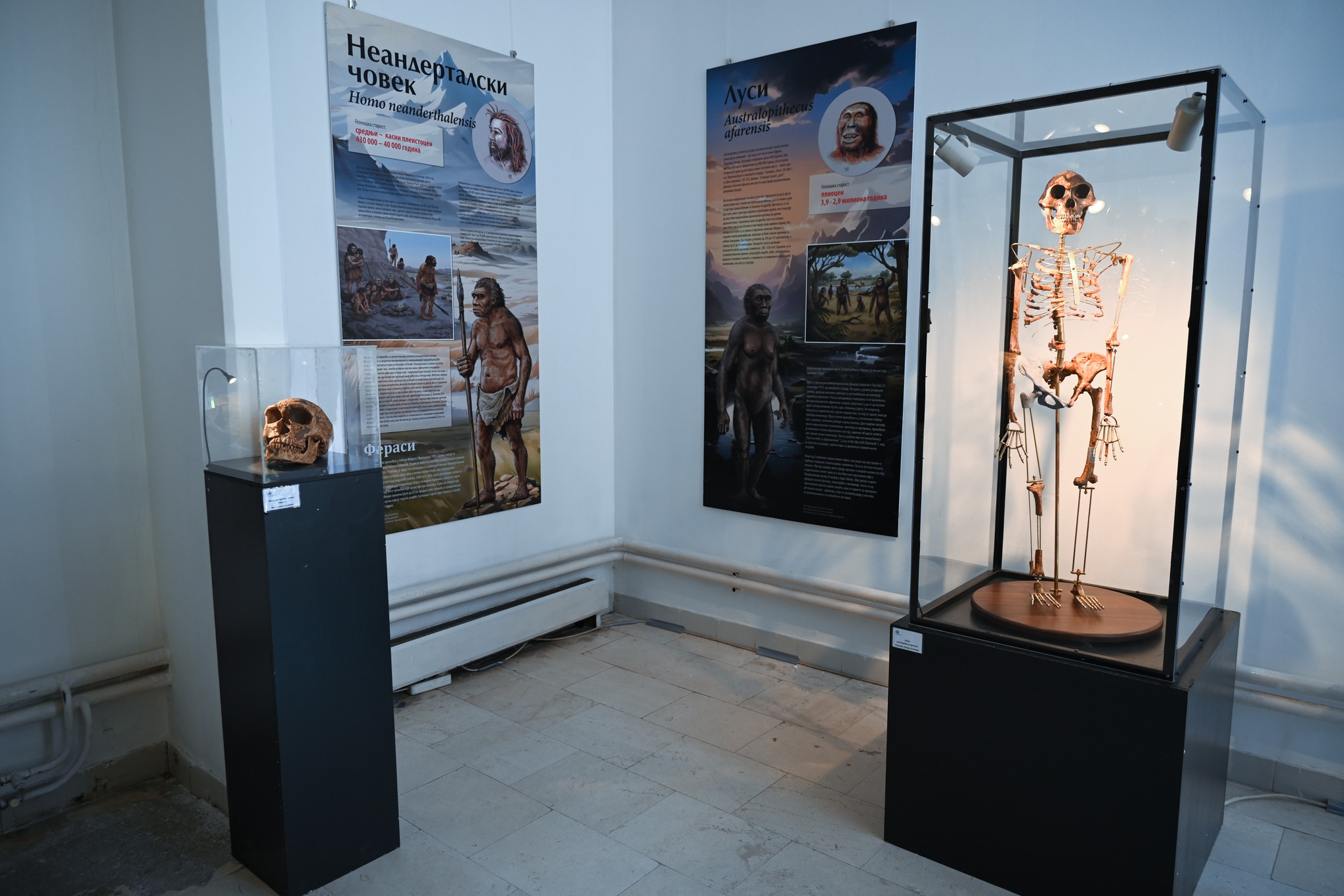 657682168_1442726637868771_938158497885035690_n