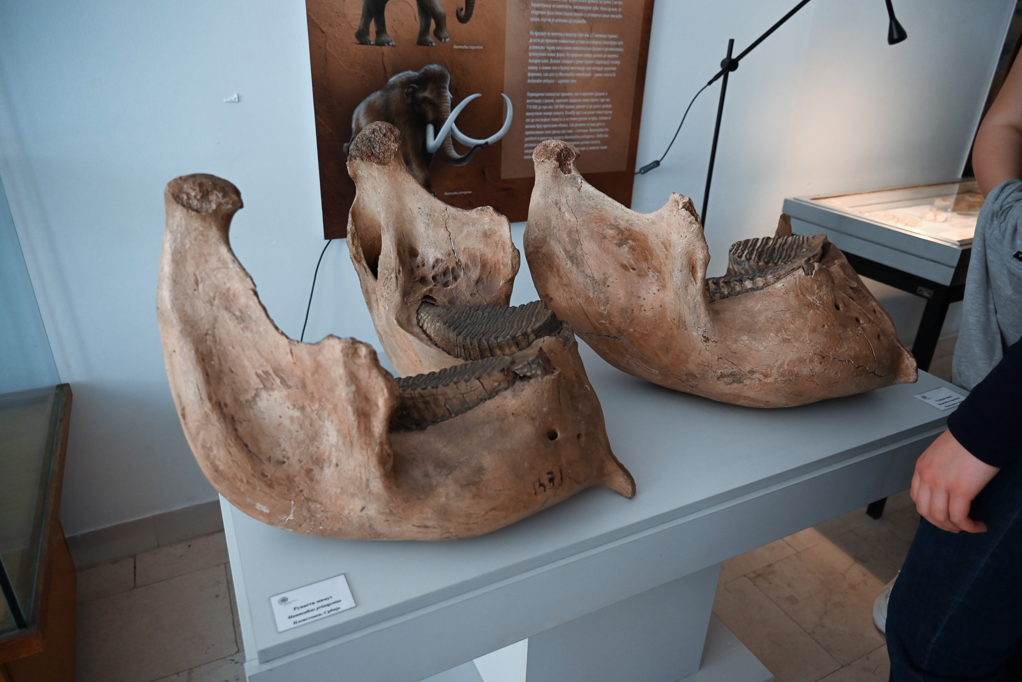 658120168_1442726591202109_3603046316341424786_n