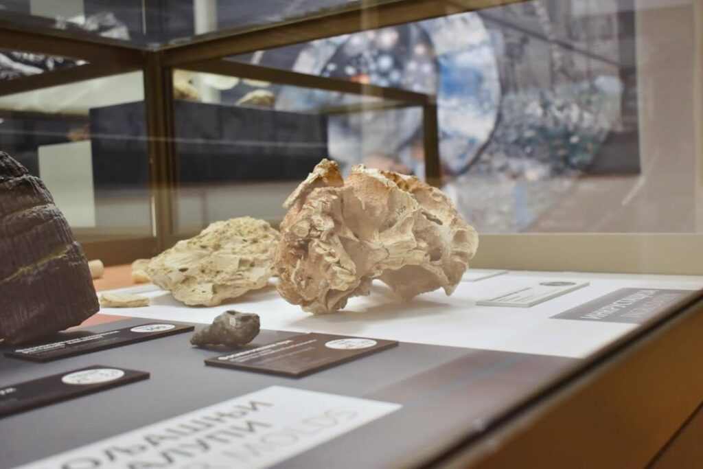 Juče je u Muzeju u Prijepolju otvorena izložba „Fosilizacija“, autora Ranka Pejovića.Izložba pose (3)