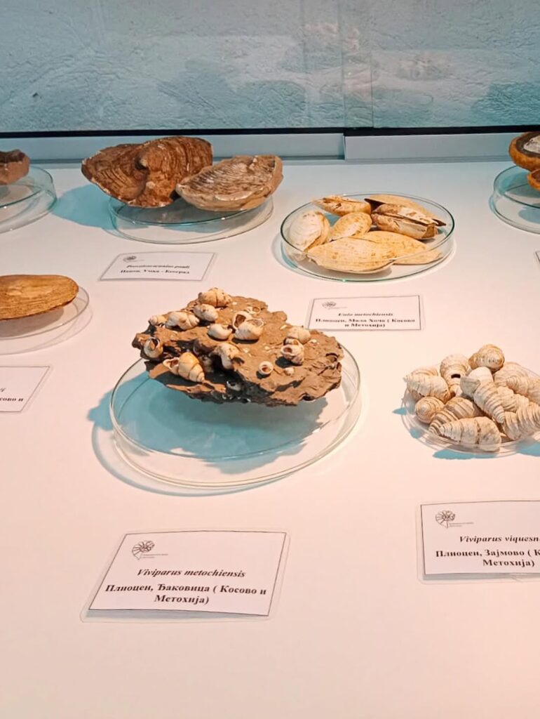 671191173_18390182023094058_8092775154508978831_n