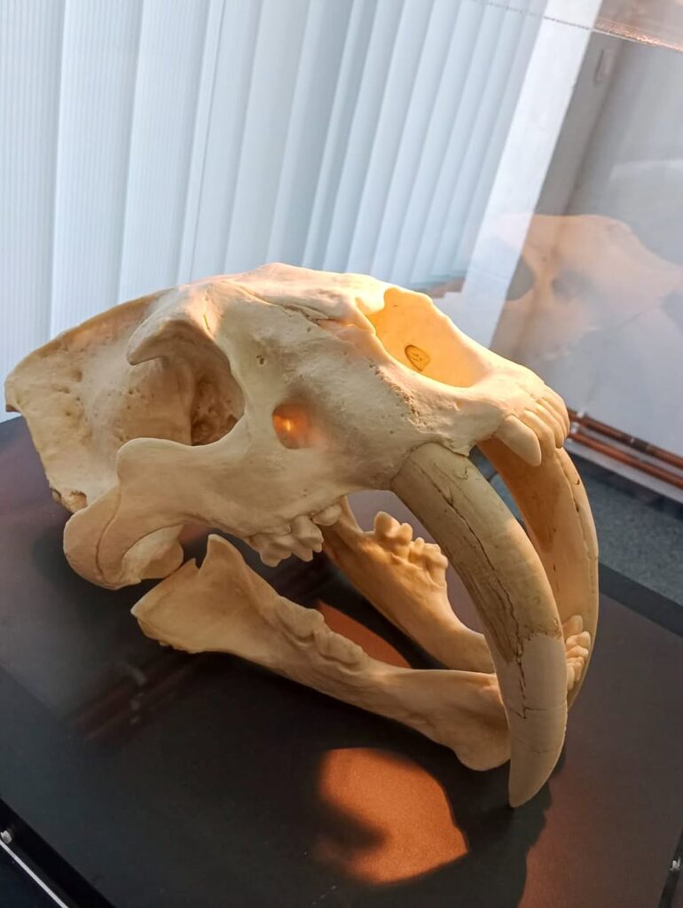 671785214_18390182044094058_8495621032887312266_n